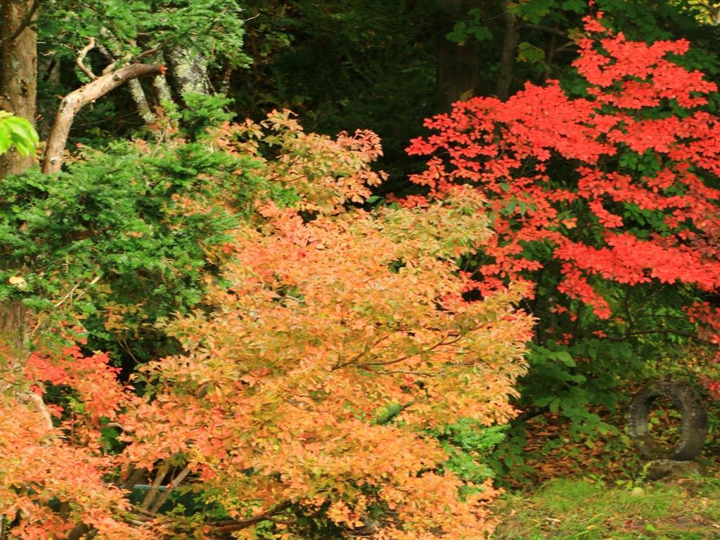 Kyuhonbo Hisayamakan Hotel Nagano Kültér fotó