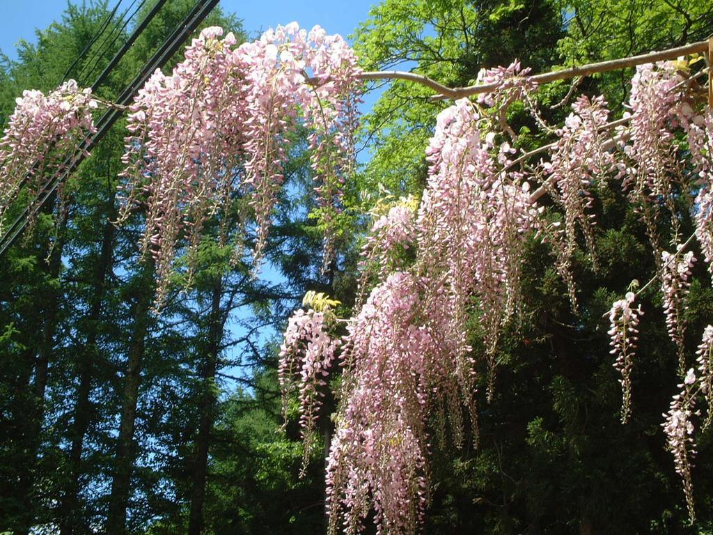 Kyuhonbo Hisayamakan Hotel Nagano Kültér fotó